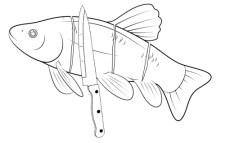 Tekening van vis met insnijdingen overdwars